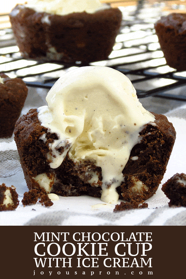 Mint Chocolate Cookie Cup with Ice Cream