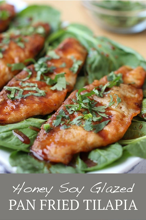 Honey Soy Tilapia - Crispy pan-fried Asian fish recipe drizzled with this honey soy glaze that is sweet and savory. Easy, healthy and yummy weeknight dinner recipe! via @joyousapron