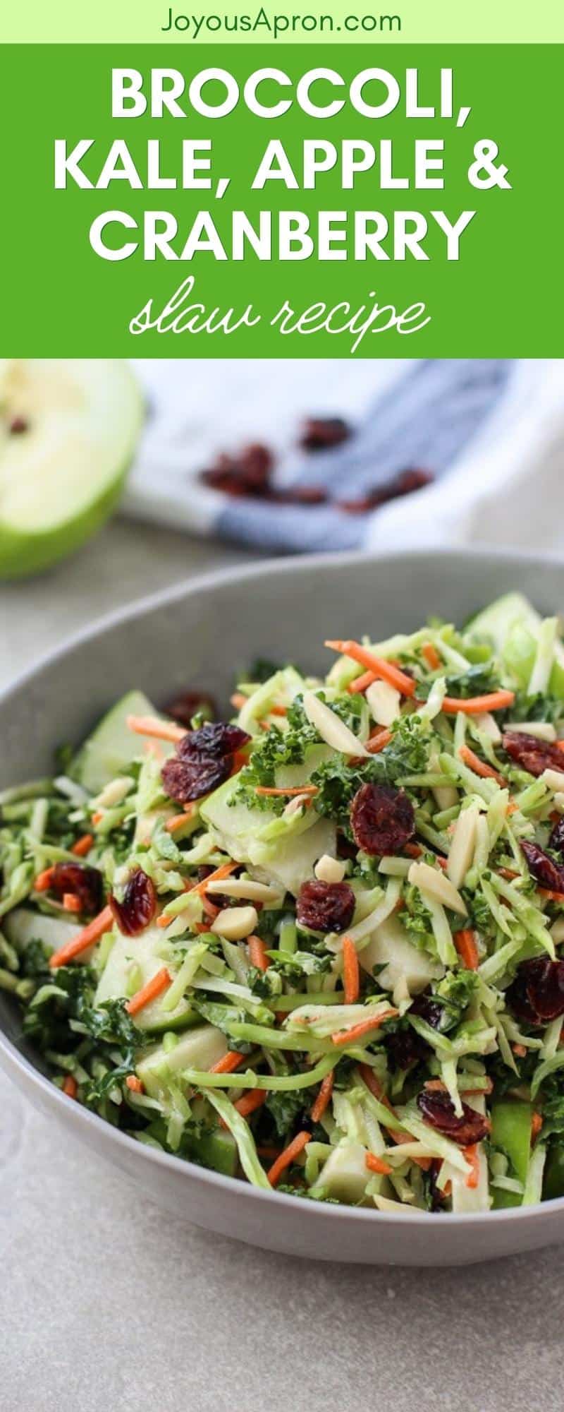 Broccoli, Kale, Apple and Cranberry Slaw - The perfect light and healthy veggie side to your holiday meal or any day dinner! Broccoli, kale, apples, dried cranberries and carrots are tossed in a tangy and light vinaigrette dressing via @joyousapron