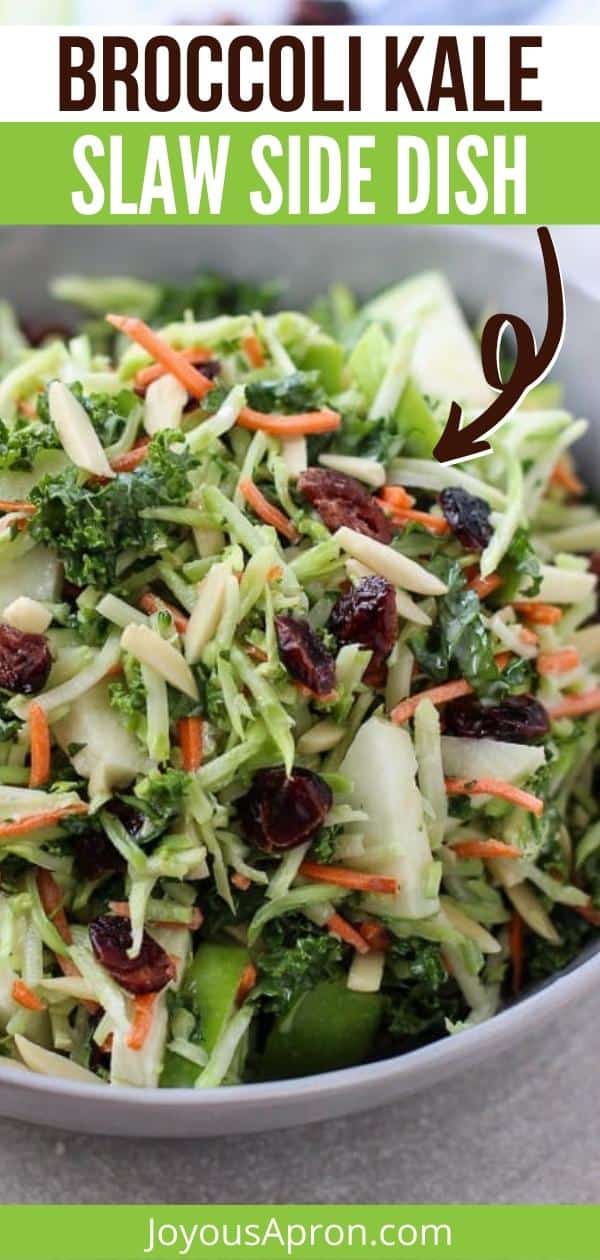 Broccoli, Kale, Apple and Cranberry Slaw - The perfect light and healthy veggie side to your holiday meal or any day dinner! Broccoli, kale, apples, dried cranberries and carrots are tossed in a tangy and light vinaigrette dressing via @joyousapron