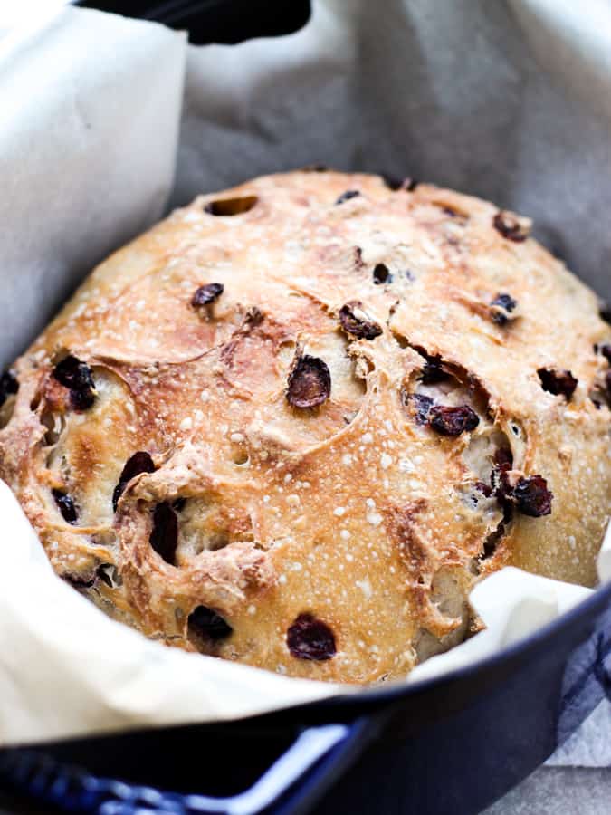 Freshly baked No-Knead Cranberry Bread