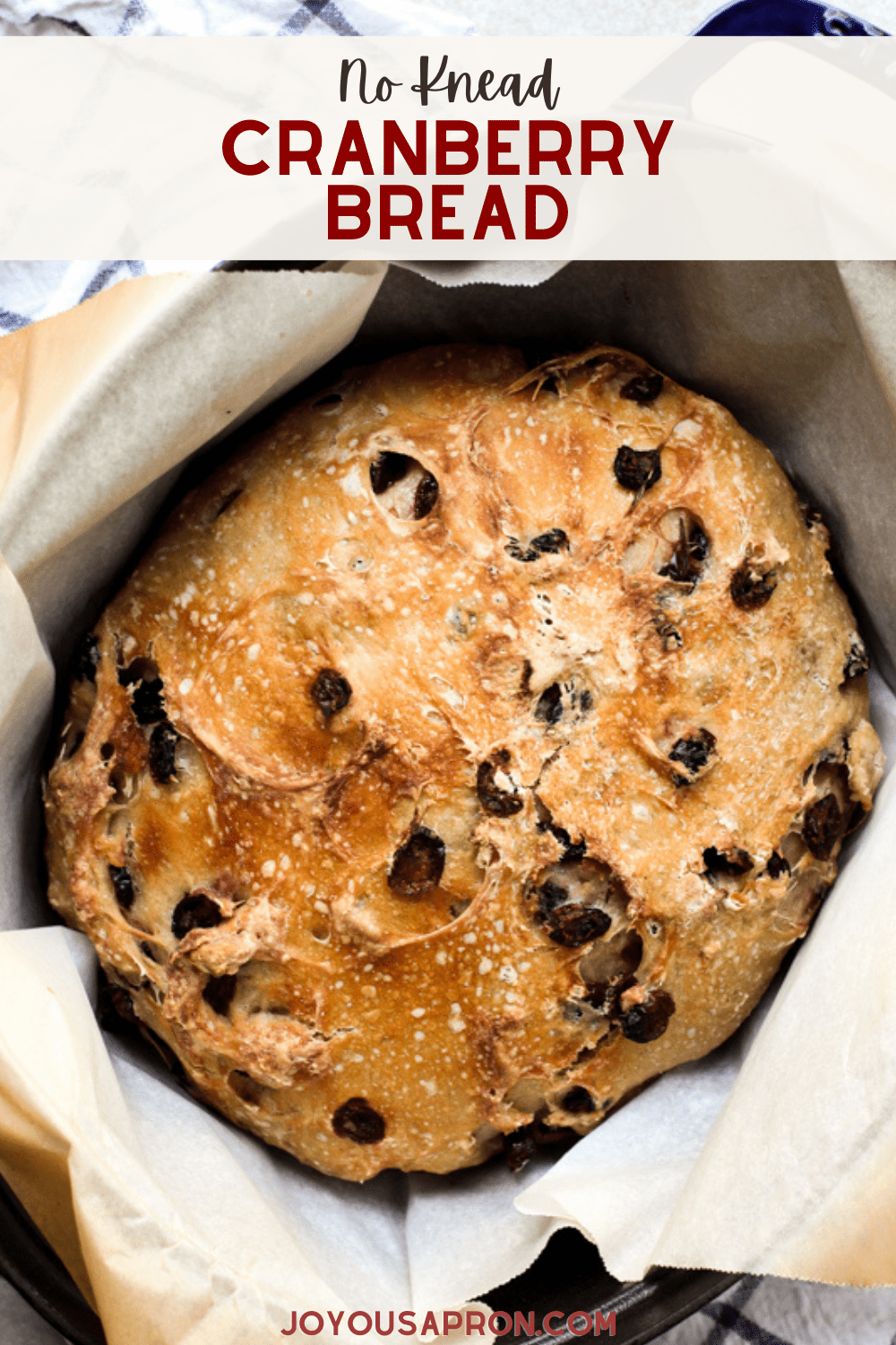 No Knead Cranberry Bread - Crusty on the outside, and soft on the inside, the No-Knead Cranberry yeast bread is festive and perfect for the holidays. Made in the Dutch oven. No-kneading required and so easy! via @joyousapron