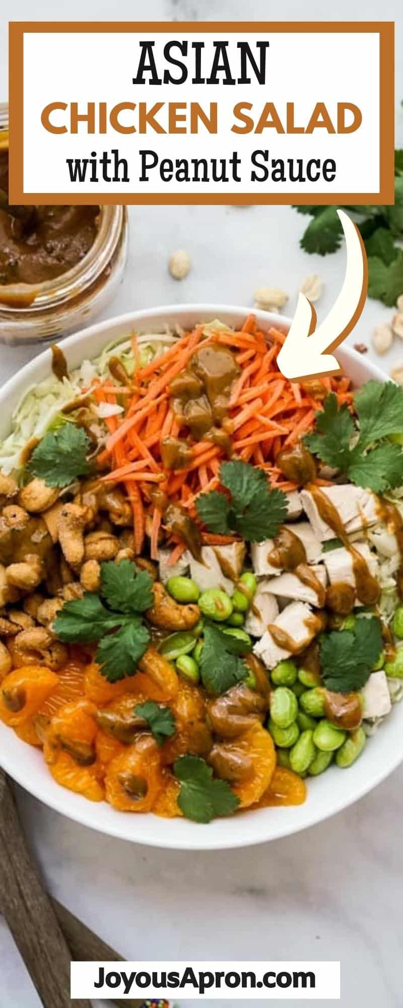 Asian Peanut Chicken Salad - a healthy, light, quick and yummy no cook dinner or lunch! Veggies such as crunchy cabbage, carrots, edamame, mandarin oranges, honey roasted cashews, shredded rotisserie chicken tossed in a yummy homemade peanut dressing. Takes less than 30 minutes and perfect for meal prep! via @joyousapron