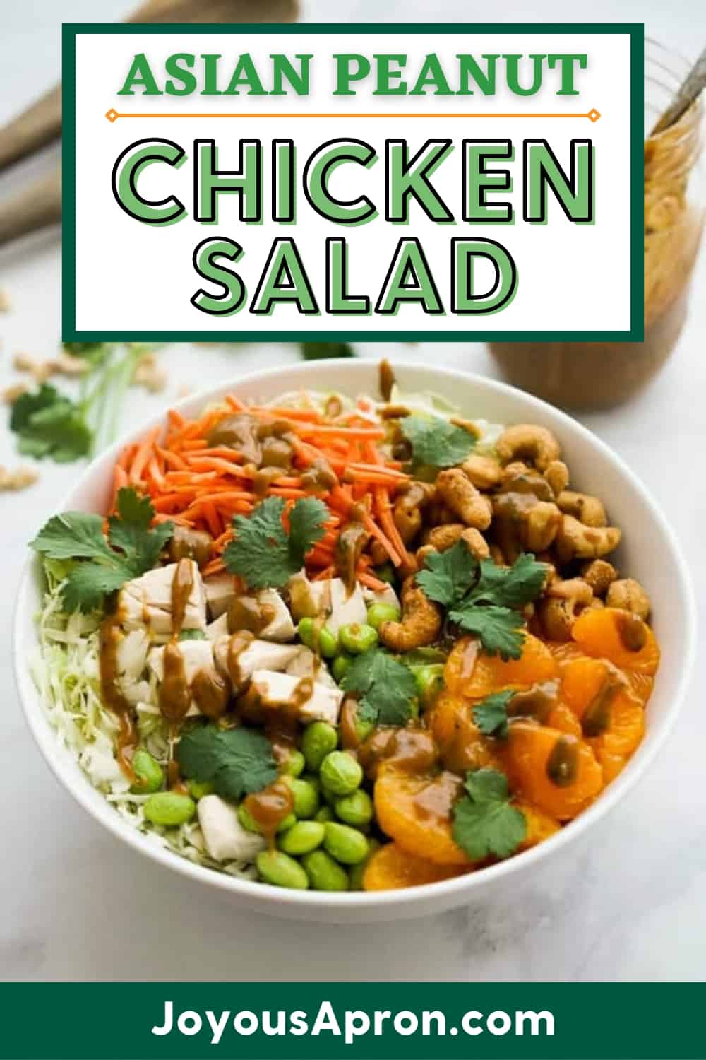 Asian Peanut Chicken Salad - a healthy, light, quick and yummy no cook dinner or lunch! Veggies such as crunchy cabbage, carrots, edamame, mandarin oranges, honey roasted cashews, shredded rotisserie chicken tossed in a yummy homemade peanut dressing. Takes less than 30 minutes and perfect for meal prep! via @joyousapron