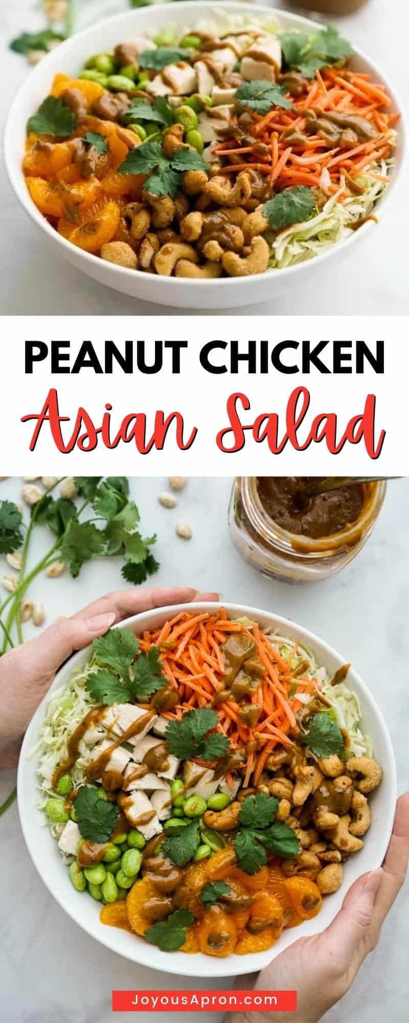 Asian Peanut Chicken Salad - a healthy, light, quick and yummy no cook dinner or lunch! Veggies such as crunchy cabbage, carrots, edamame, mandarin oranges, honey roasted cashews, shredded rotisserie chicken tossed in a yummy homemade peanut dressing. Takes less than 30 minutes and perfect for meal prep! via @joyousapron