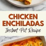 chicken enchilada pin