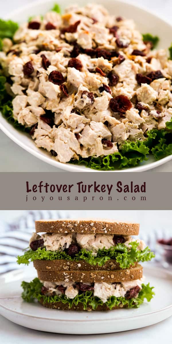 Turkey Salad with Cranberries - leftover turkey from Thanksgiving? This easy Turkey Salad recipe loaded with sweet dried cranberries is one of my favorite ways to repurpose leftover turkey meat! via @joyousapron