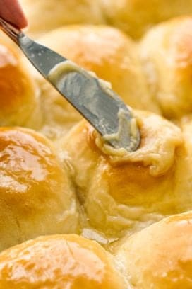 Spread honey butter onto yeast dinner rolls