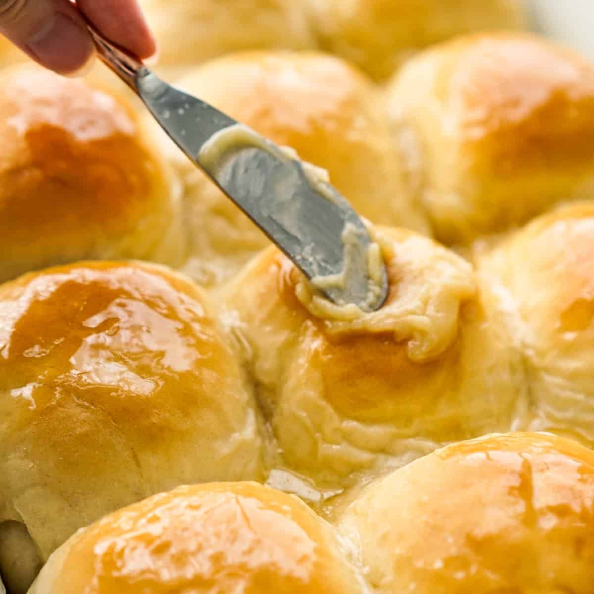 Honey Butter Rolls