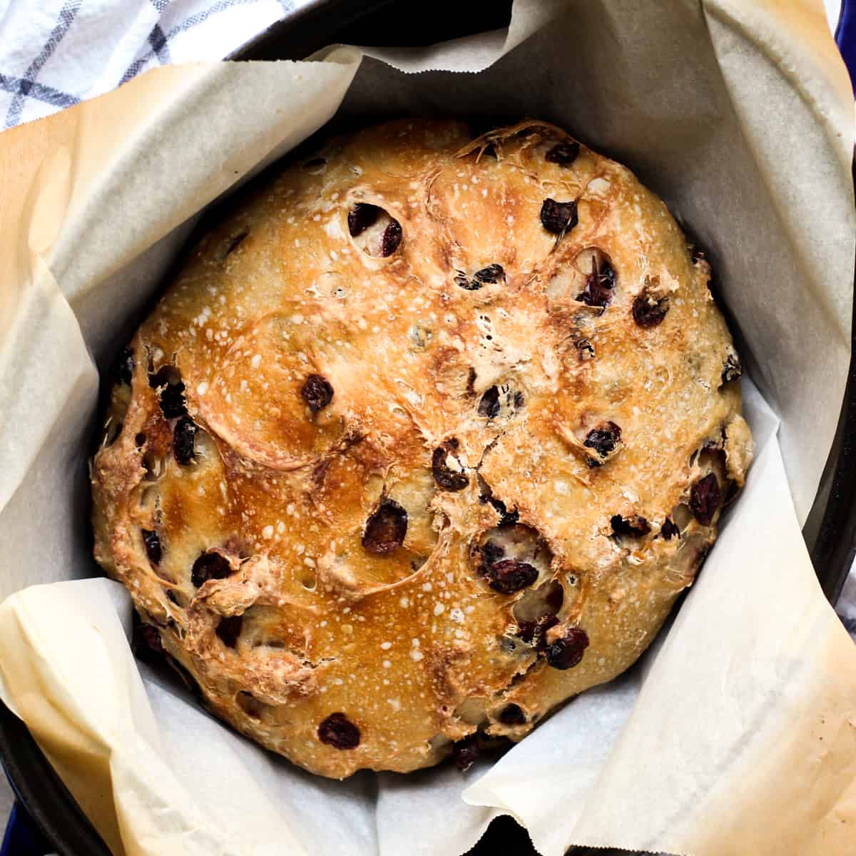Crusty bread with dried cranberries in dutch oven