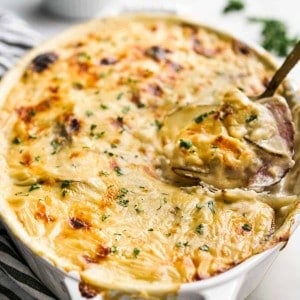 Scooping up potato and ham au gratin