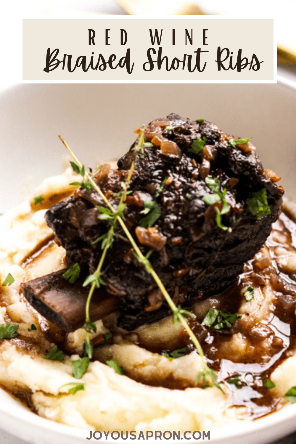 Red Wine Braised Short Ribs - Tender, fall-apart braised beef short ribs cooked in the Dutch Oven is an elegant and delicious meat main dish that is easy and delicious. Flavored with red wine and fresh herbs, it's perfect for holidays, special occasions and more. via @joyousapron