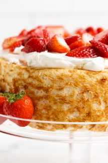 Closeup of Strawberry shortcake with angel food cake
