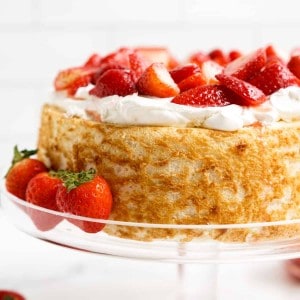 Closeup of Strawberry shortcake with angel food cake