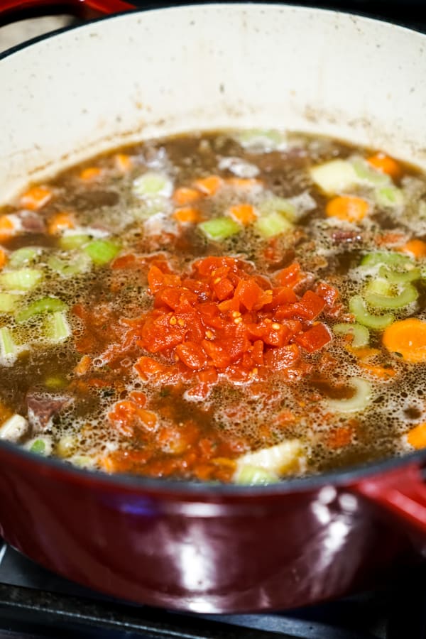 Beef broth, tomatoes, carrots and celery in a large red pot