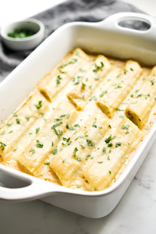 A casserole dish of manicotti stuffed with chicken and spinach, topped with Alfredo sauce and cheese