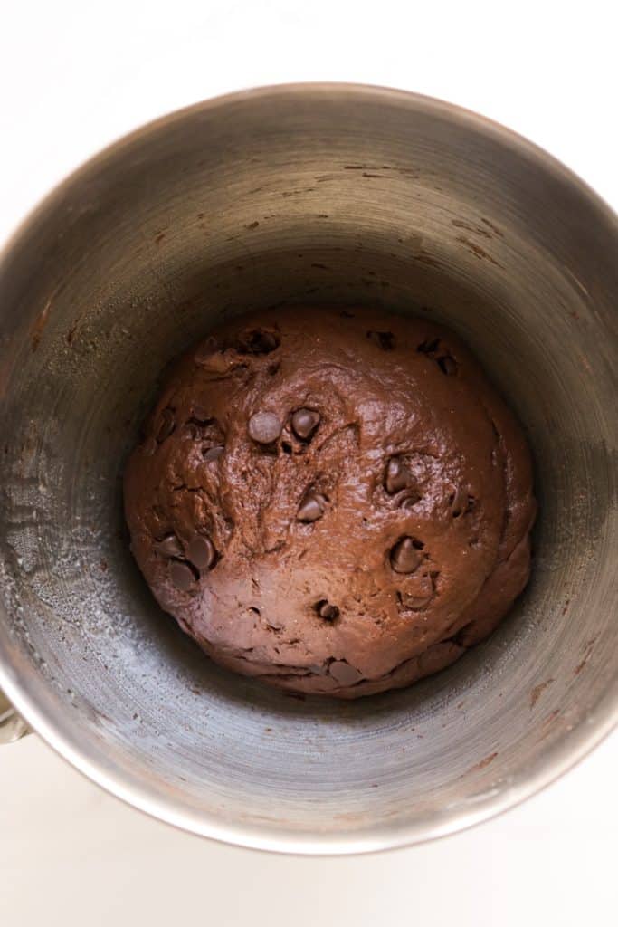 Chocolate chocolate chip dough resting in a large bowl