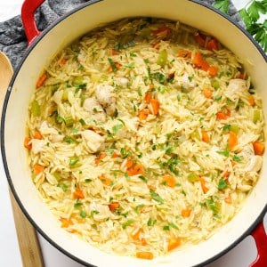 A pot of chicken and orzo dinner