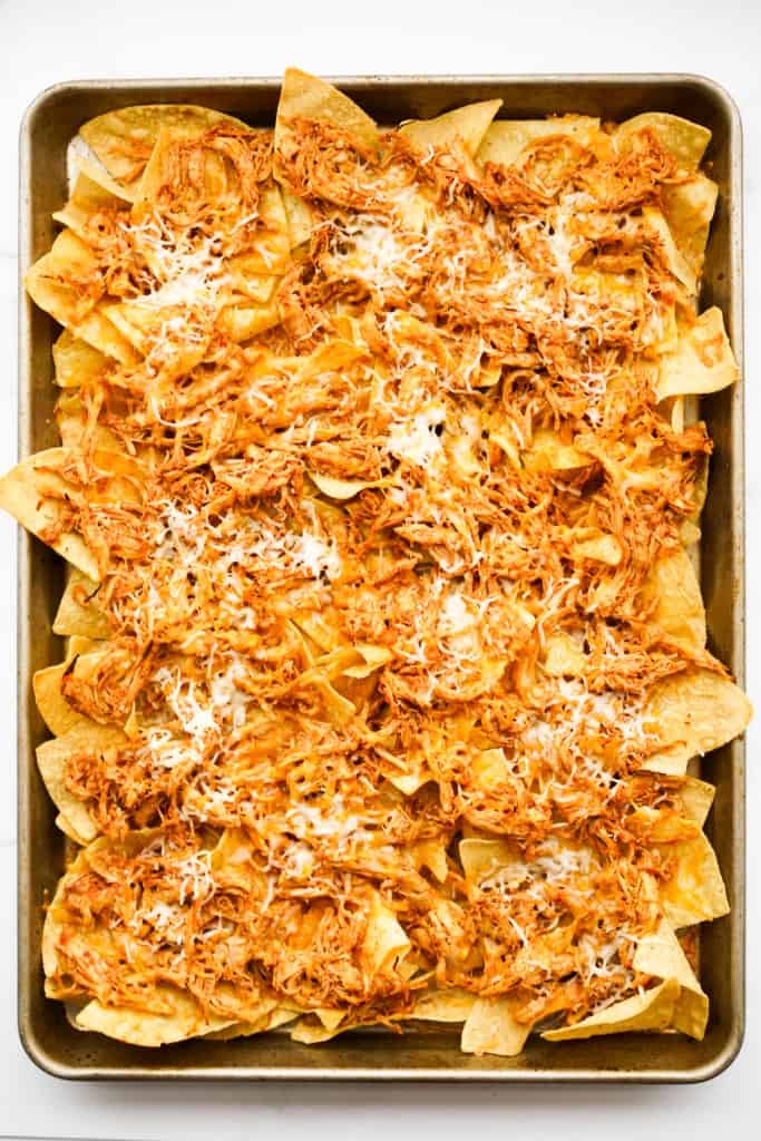 Shredded chicken nachos with melted cheese on a large rectangular sheet pan