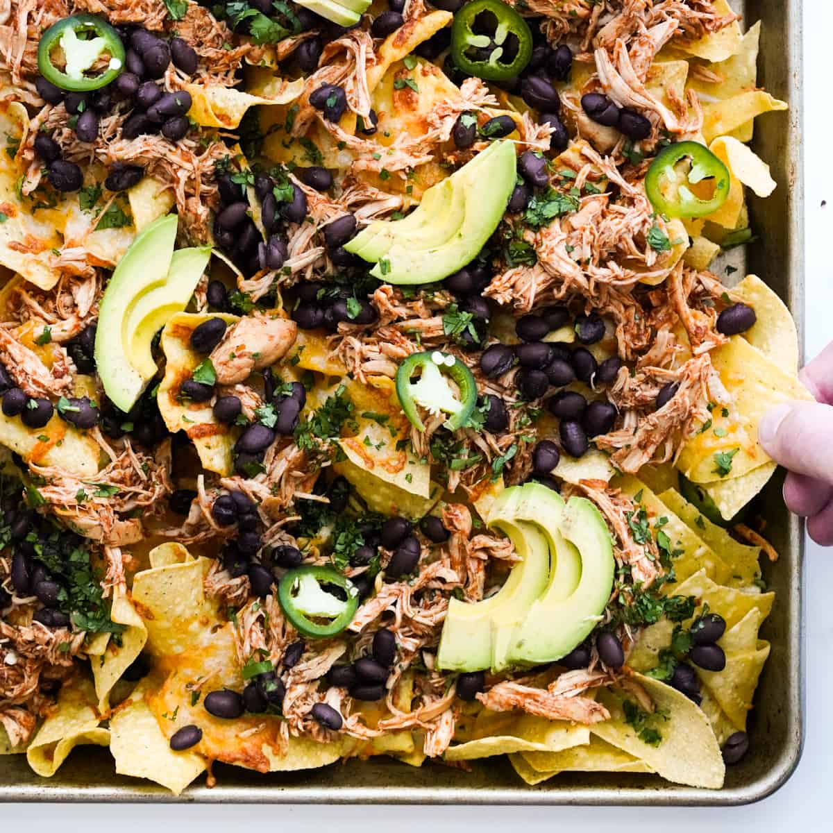 Shredded Chicken Nachos