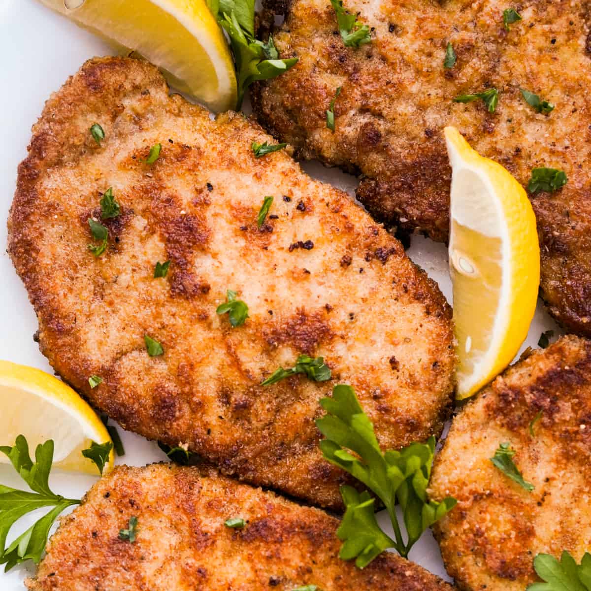 Closeup look of pork chops coated in crispy parmesan breading