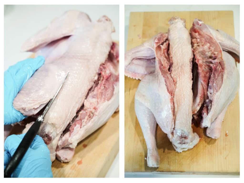 Using a kitchen scissors to cut down the spine of a turkey